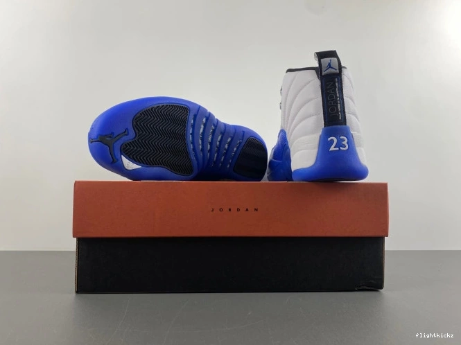 12 Air CT8013-140 Jordan Blueberry 1006
